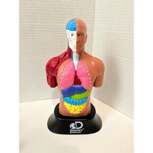 Discovery Channel Human Torso Model with Accessories – 2020 Discovery Mindblown